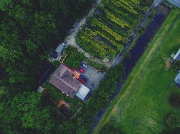 High angle view of agricultural field 