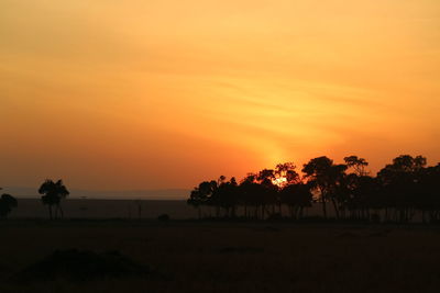 Silhouette trees on landscape against orange sky