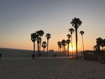 Silhouette palm trees on beach against sky during sunset