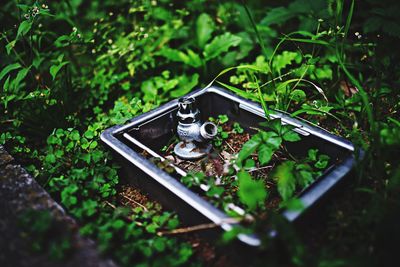 Faucet in backyard