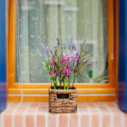 Flower pot plant against window