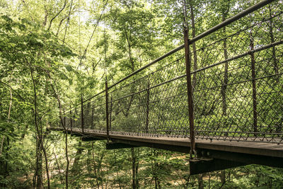 Low angle view of bridge in forest