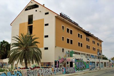 Palm trees and buildings in city against sky