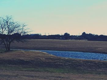 Scenic view of landscape against clear sky