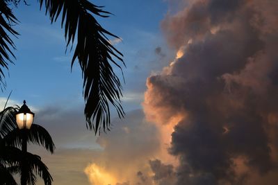Low angle view of silhouette palm trees against sky during sunset