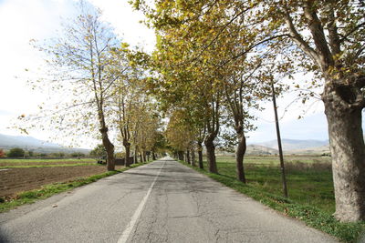 Empty road amidst trees against sky