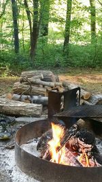 Bonfire in a forest