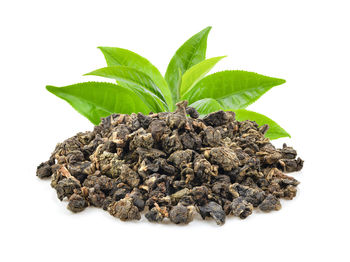 Close-up of fresh green plant against white background