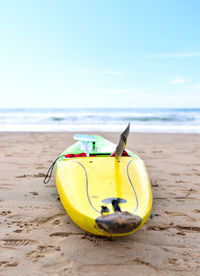 Close-up of yellow fruit on beach