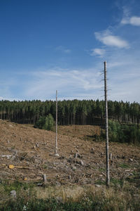 Trees on field against sky