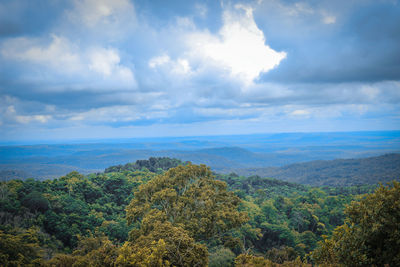 Scenic view of forest against sky