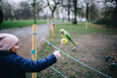 Man holding bird on field