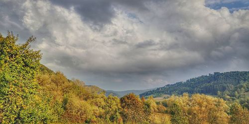 Panoramic view of trees on landscape against sky