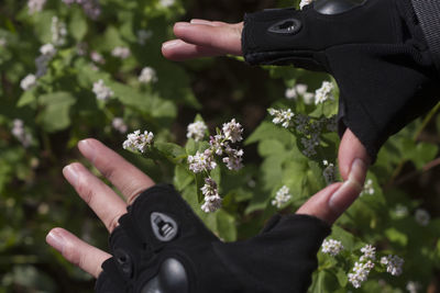 Cropped image of person hand framing over flowers