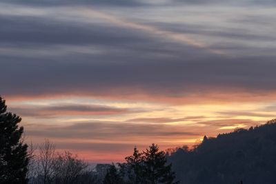 Low angle view of silhouette trees against sky during sunset