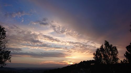 Low angle view of silhouette trees against sky during sunset