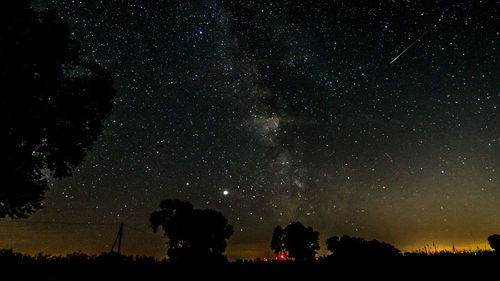 Low angle view of silhouette trees against sky at night