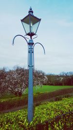 Scenic view of grassy field against sky