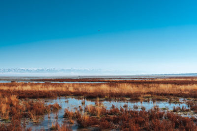 Scenic view of lake against sky