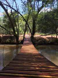 Footbridge amidst trees against sky