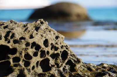 Close-up of rocks on shore