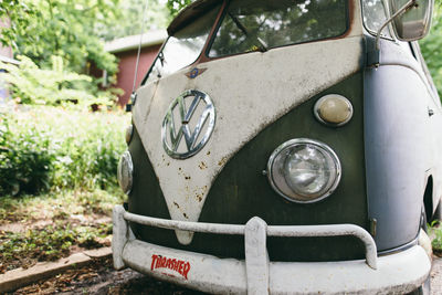 Close-up of car on tree