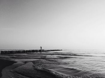 Scenic view of beach