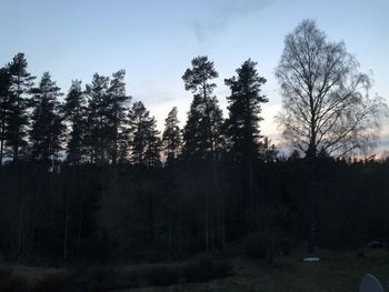 Silhouette trees in forest against sky