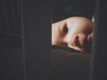 Close-up of a sleeping in bed