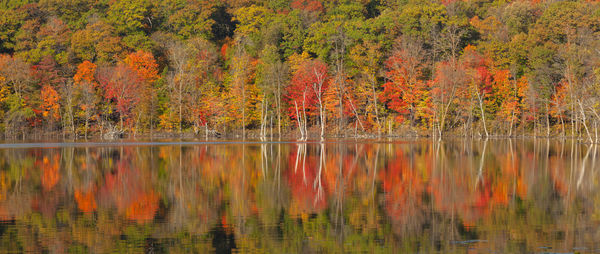 Scenic view of lake