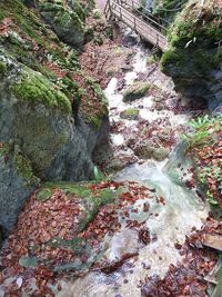 High angle view of stream amidst rocks in forest