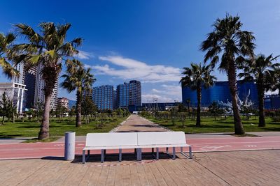 Palm trees by plants against sky
