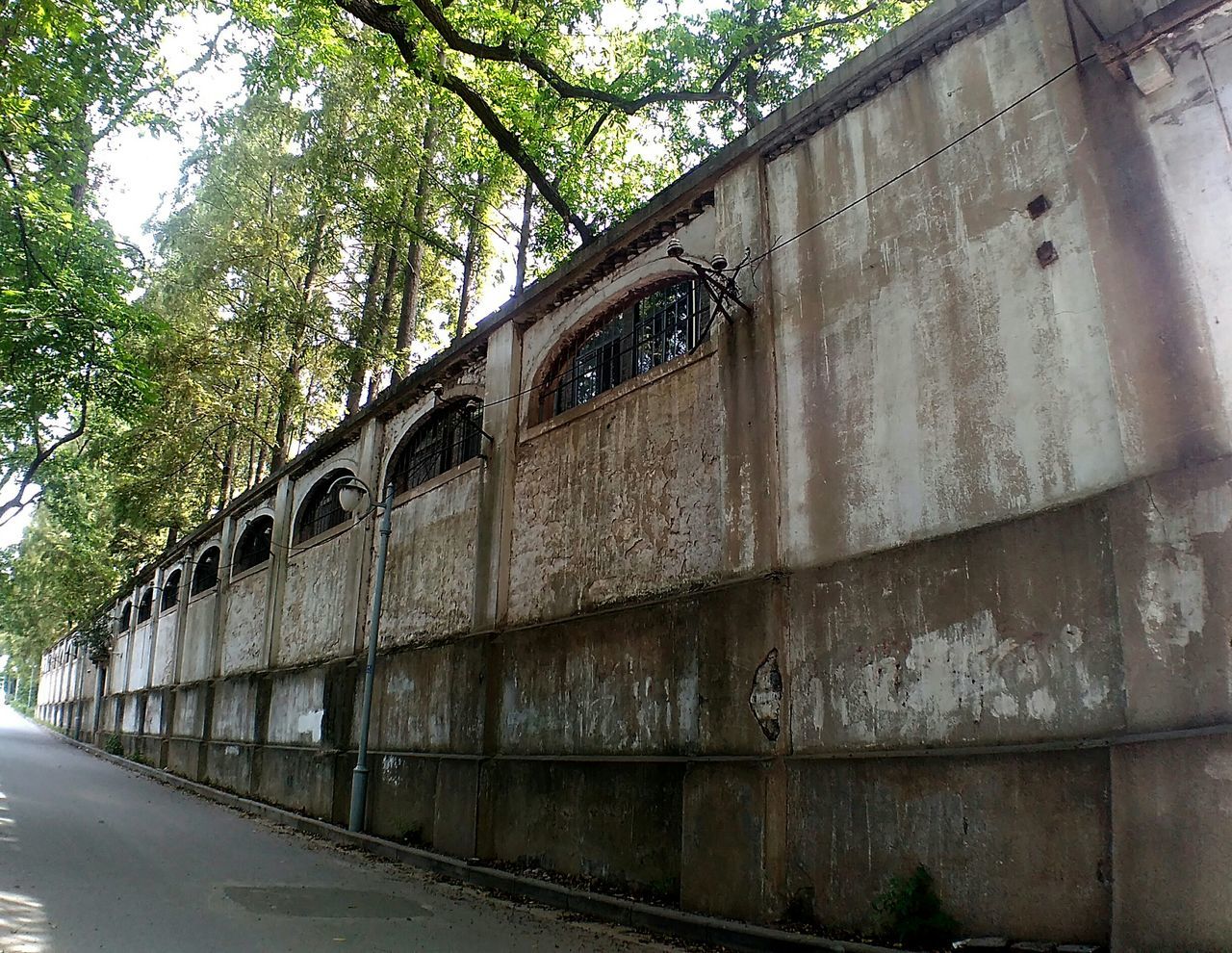 architecture, built structure, building exterior, tree, wall - building feature, day, low angle view, outdoors, building, street, no people, growth, road, sky, old, house, wall, brick wall, sunlight, the way forward