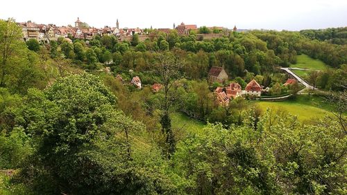 Scenic view of green landscape