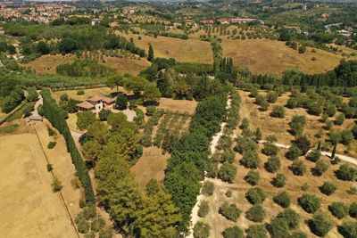 High angle view of agricultural field