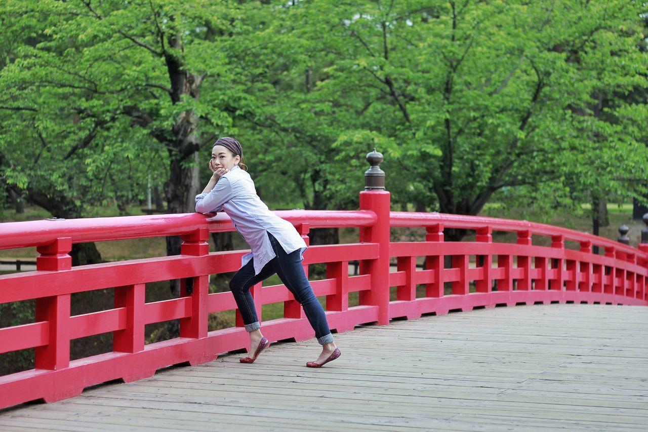 tree, full length, red, leisure activity, lifestyles, park - man made space, railing, rear view, day, childhood, outdoors, sitting, nature, casual clothing, water, relaxation, forest, side view