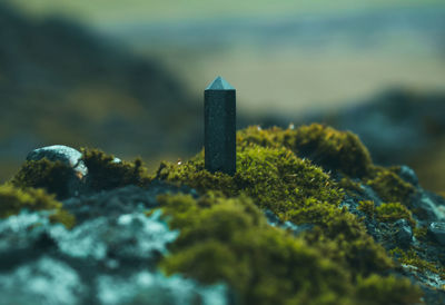 Close-up of moss on rock crystal