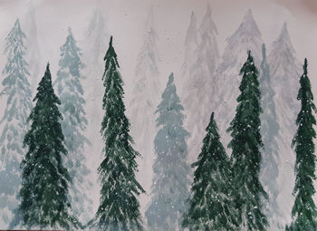 Panoramic view of pine trees during winter