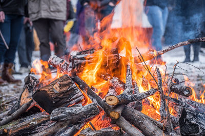 Bonfire on wooden log