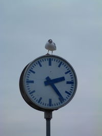 Low angle view of clock against the sky