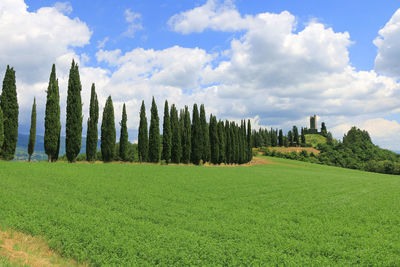 Panorama of tuscany landscape with a castle at the top of the hill.