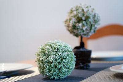 Close-up of potted plant on table