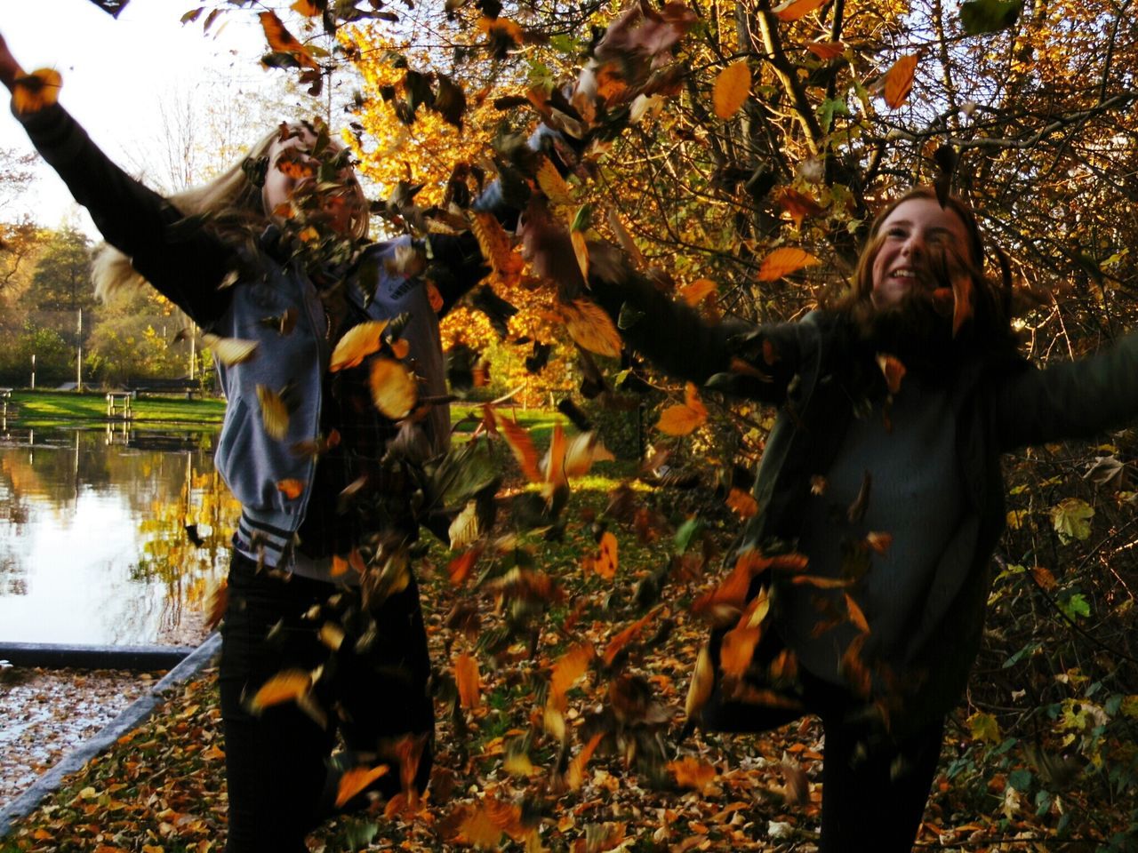 animal themes, water, tree, standing, nature, day, outdoors, park - man made space, pond, togetherness, full length, statue, looking at camera, lake, portrait, mammal, sunlight, sculpture, sitting