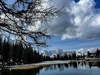 Reflection of bare trees in lake