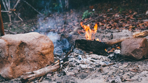 Bonfire on log