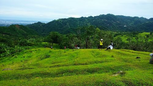 Scenic view of grassy field against sky