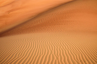 Full frame shot of sand dune