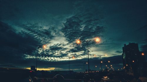 Low angle view of trees against sky at night