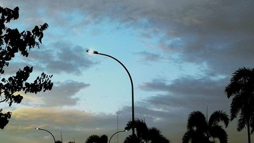 Low angle view of silhouette trees against sky at dusk