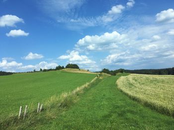 Scenic view of field against sky